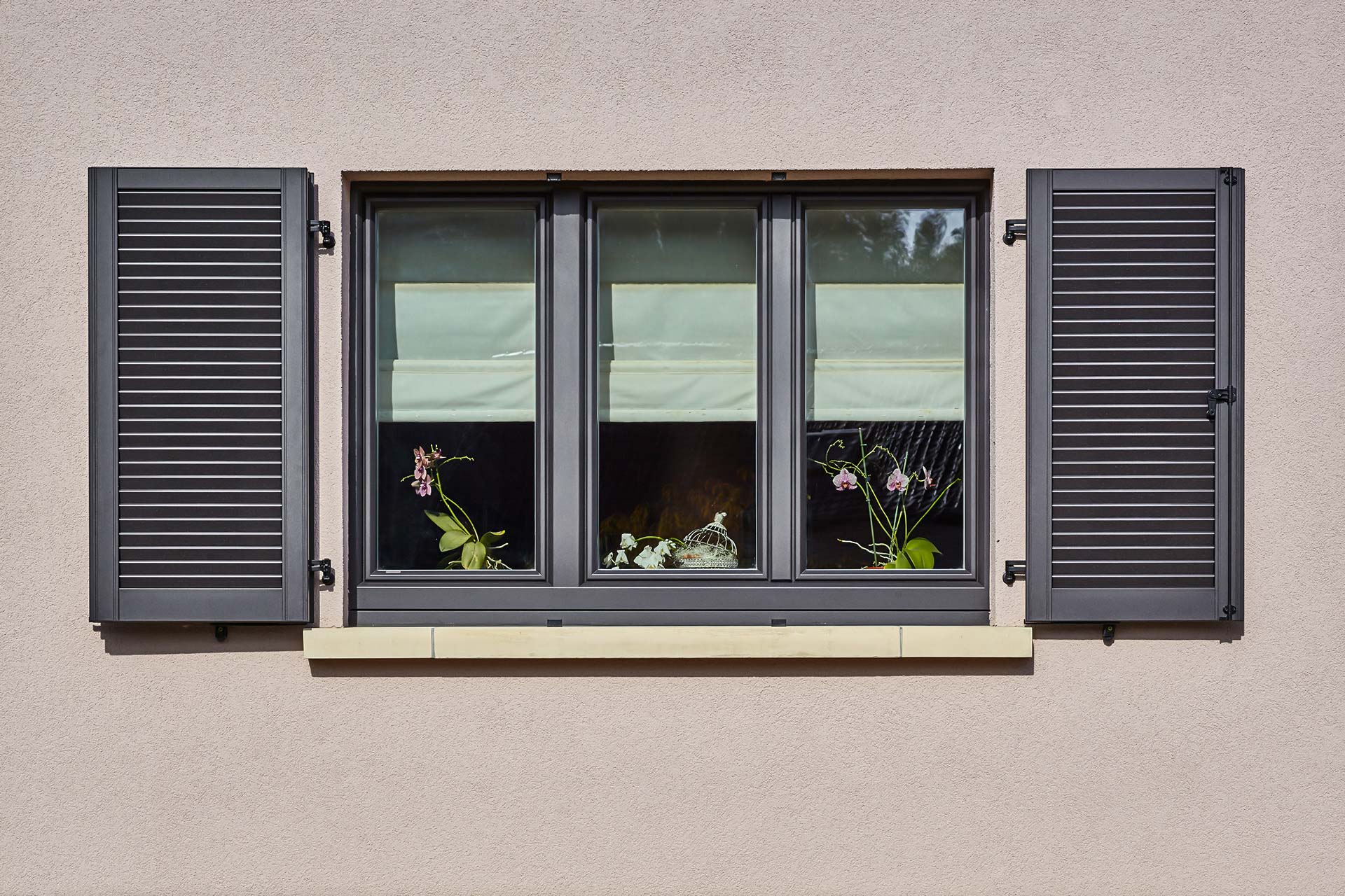 Nahaufnahme eines grauen Coplaning Holz- Alu Fenster des leicht pinken Einfamilienhauses.