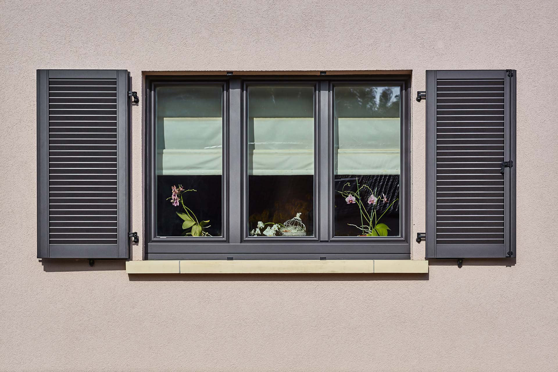 Nahaufnahme eines grauen Coplaning Holz- Alu Fenster des leicht pinken Einfamilienhauses.