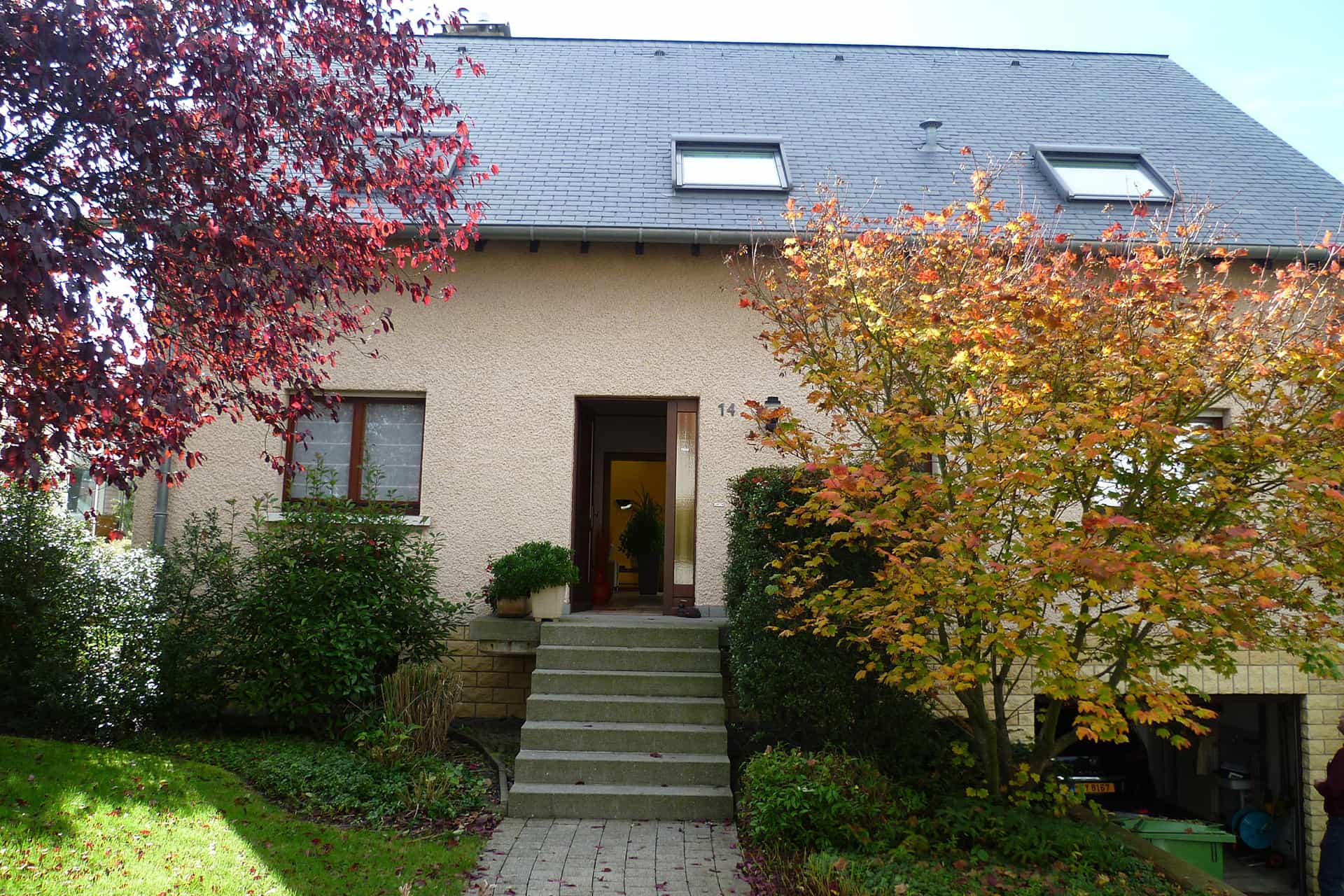 Before image